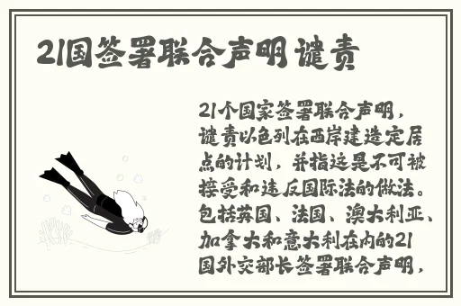窝窝影视